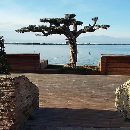 Les Marquises Apartment Le Barcares